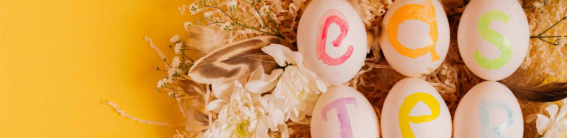 ostern promotion roc hotels mallorca