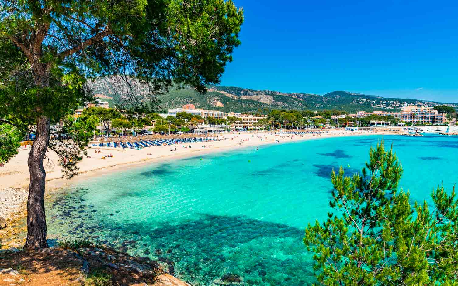 hotel roc illetas by roc hotels hotel roc illetas roc hotels