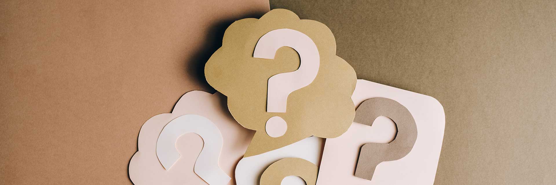 roc oberoy roc hotels