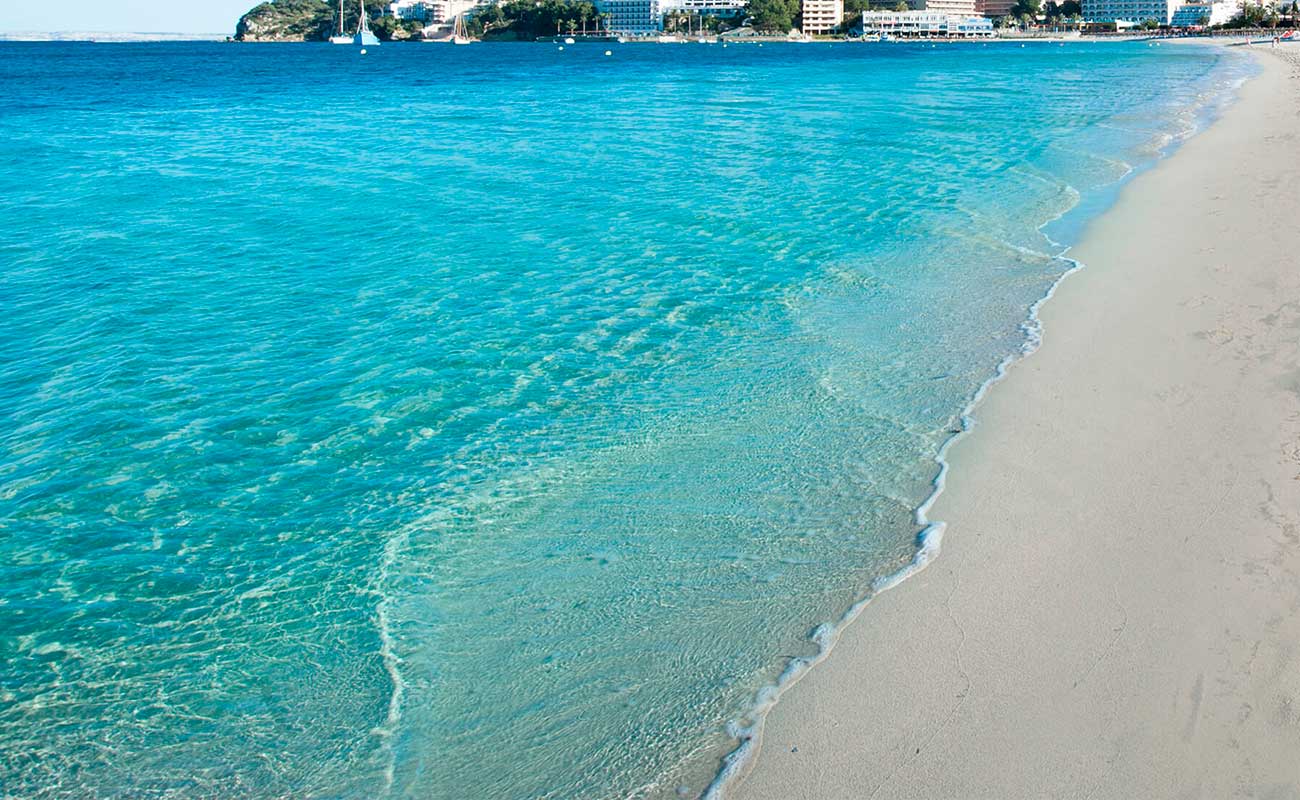 apartamentos roc portonova plage apartamentos roc portonova plage