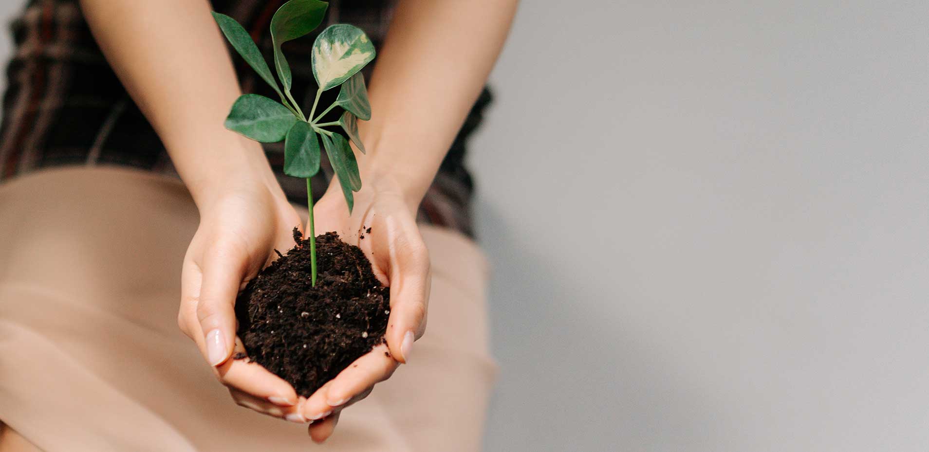 hero roc hotels mallorca